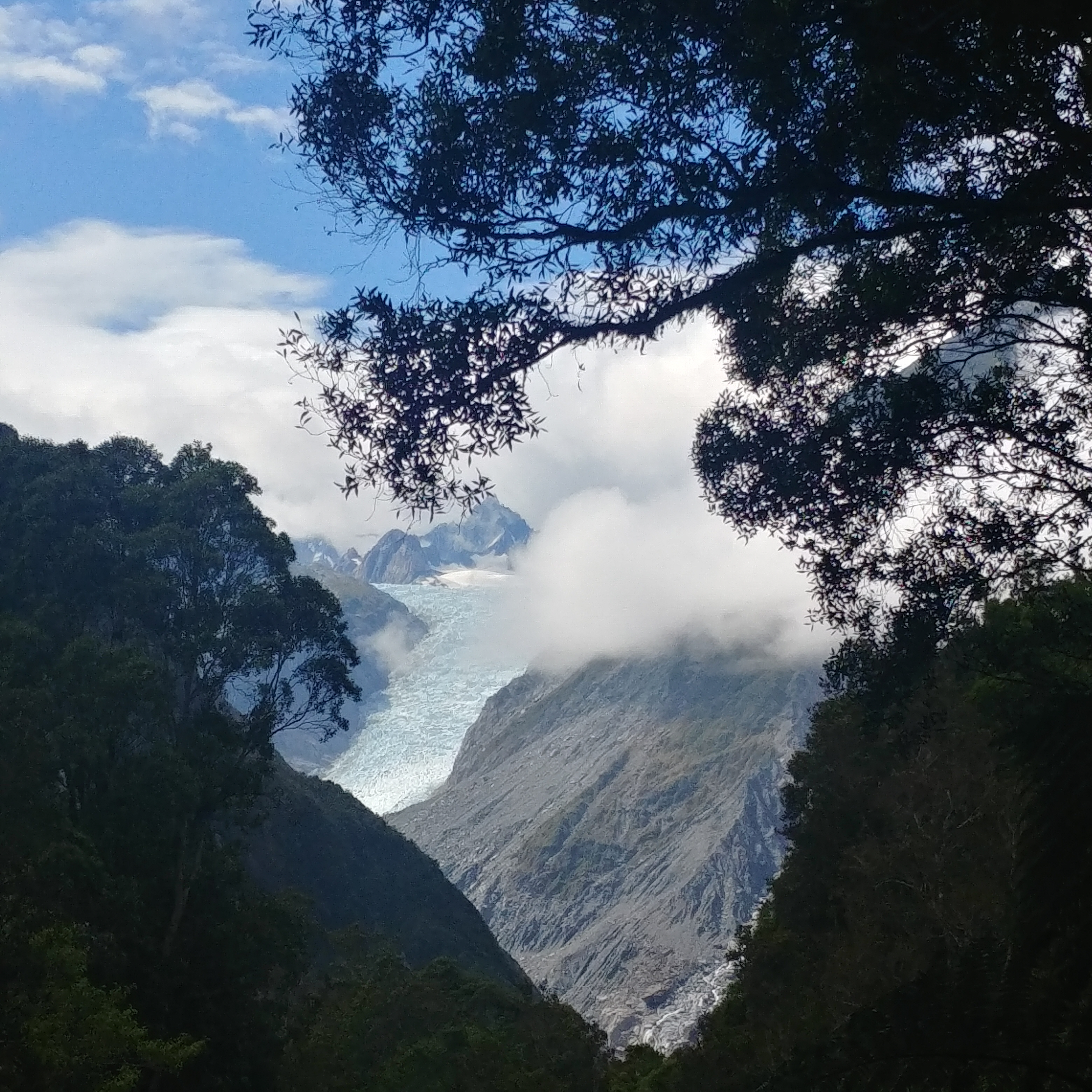 뉴질랜드 남섬 여행 만년설과 빙하 Fox Glacier View