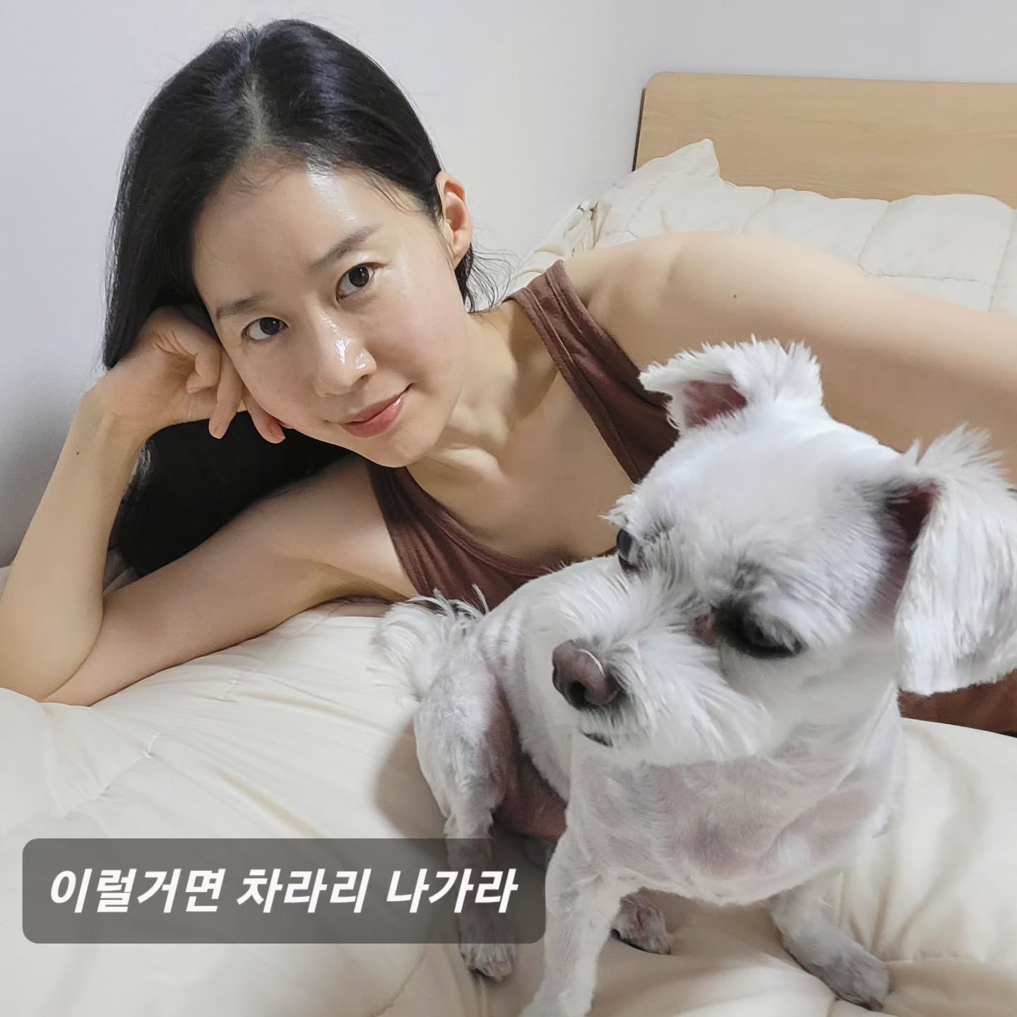 김로사의 화보