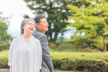 노인 일자리 여기 바로가기 신청방법