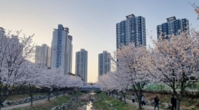 국내여행 청주의 맛집&#44; 볼거리 그리고 산책하기 좋은곳