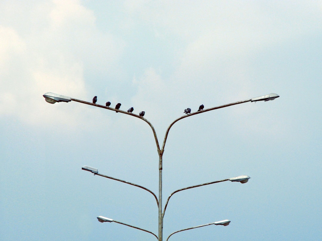 Scalability