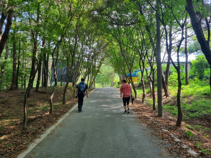 산책로