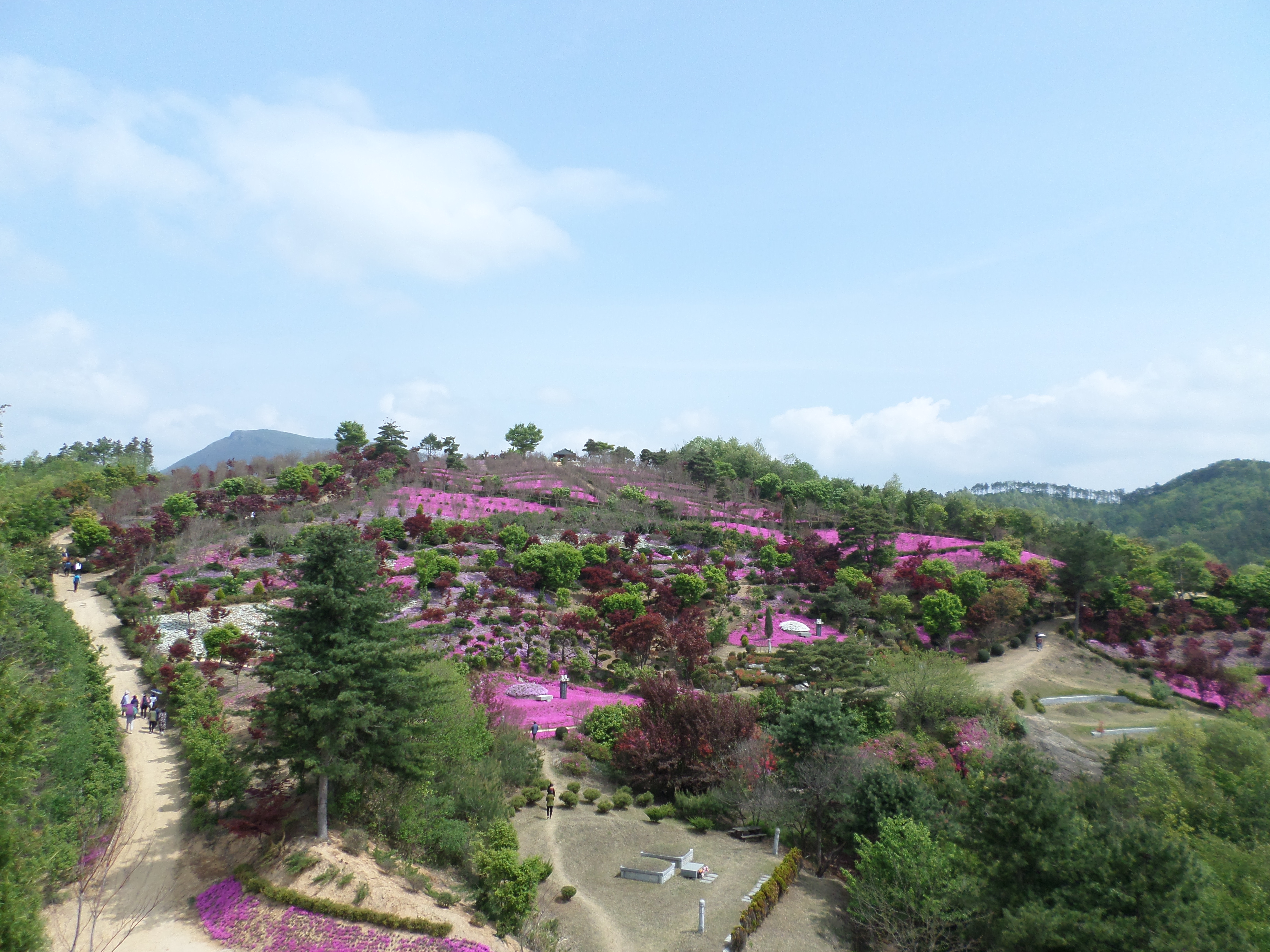 동산잔디 이미지