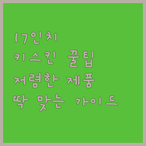 LG그램 17인치 키스킨 완벽 가이드