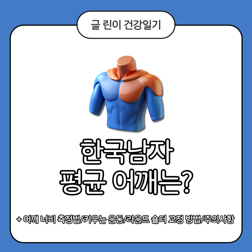 한국 남자 평균 어깨