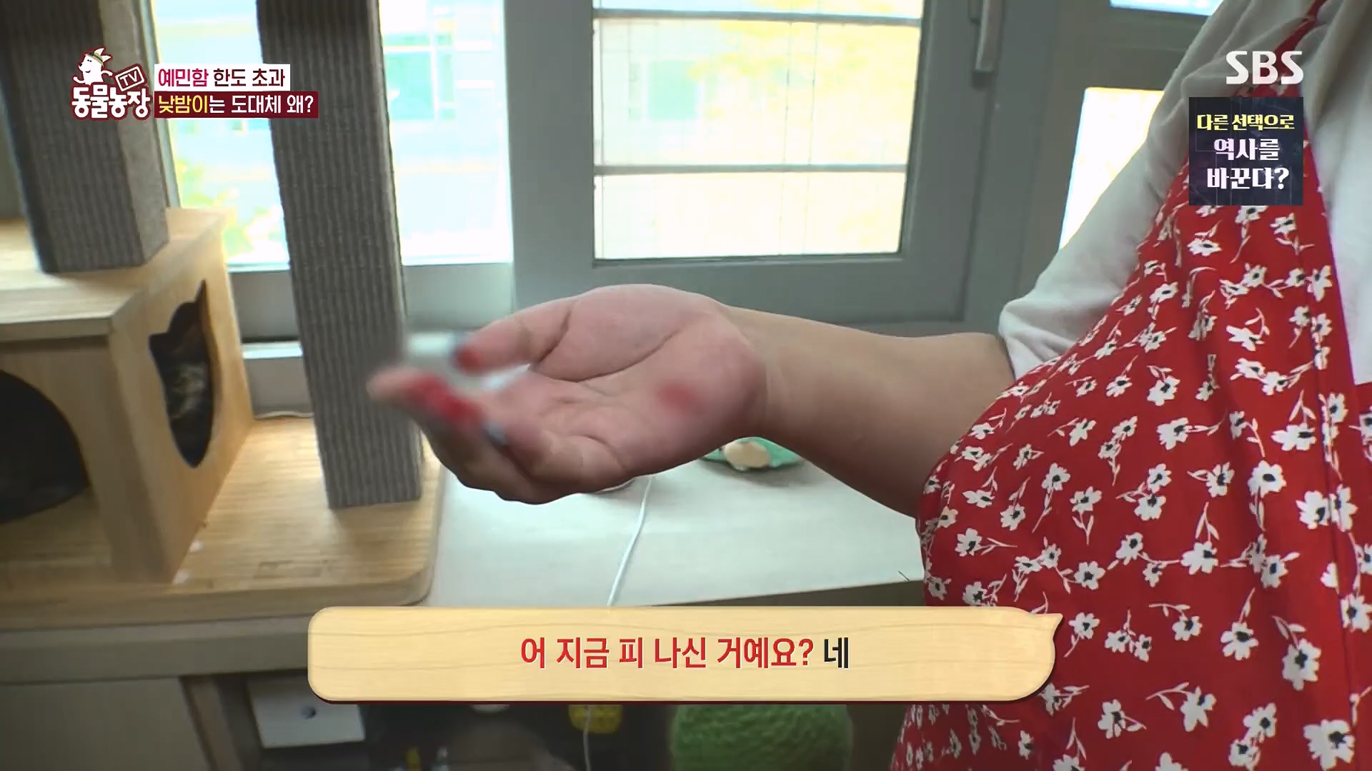 TV 동물농장.E1136.230903p.H264-F1RST.mp4_20230903_180354.099.jpg