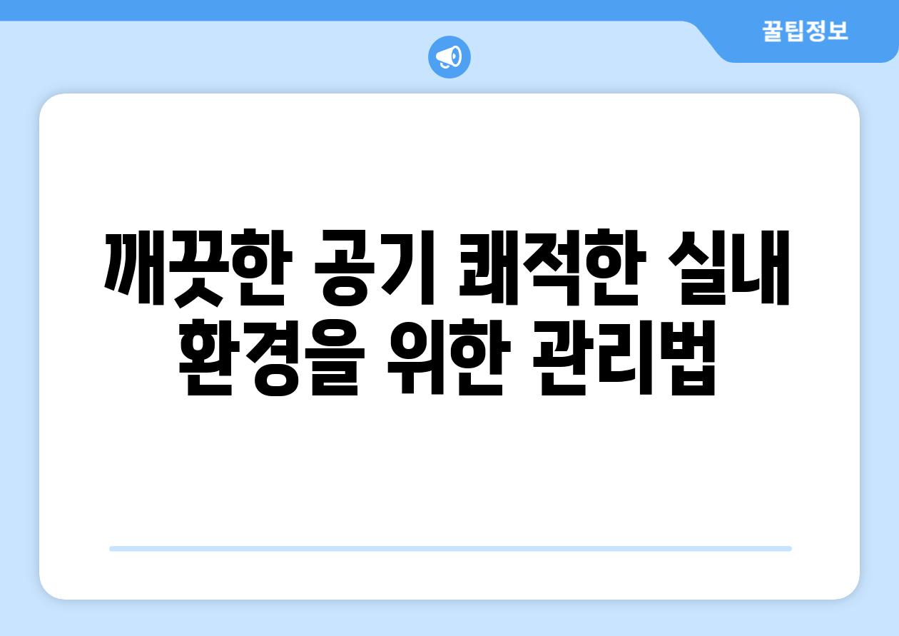 깨끗한 공기 쾌적한 실내 환경을 위한 관리법