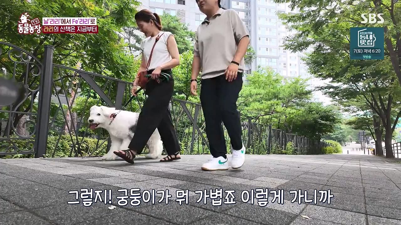 TV 동물농장.E1187.240902p-NEXT.mp4_20240901_155458.079.jpg