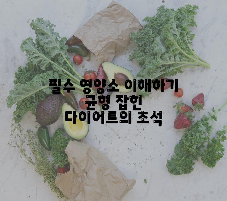 필수 영양소 이해하기 균형 잡힌 다이어트의 초석