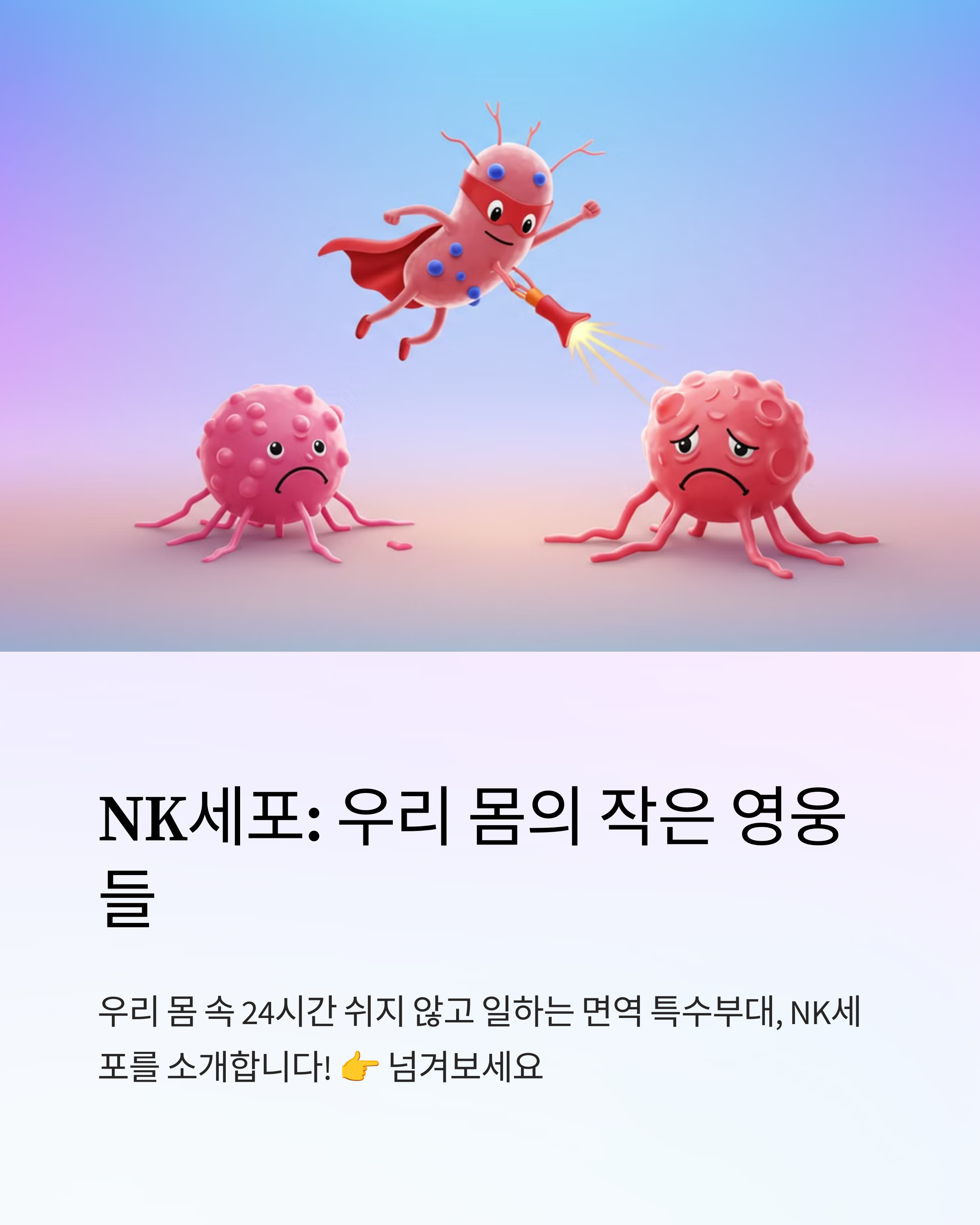 NK세포