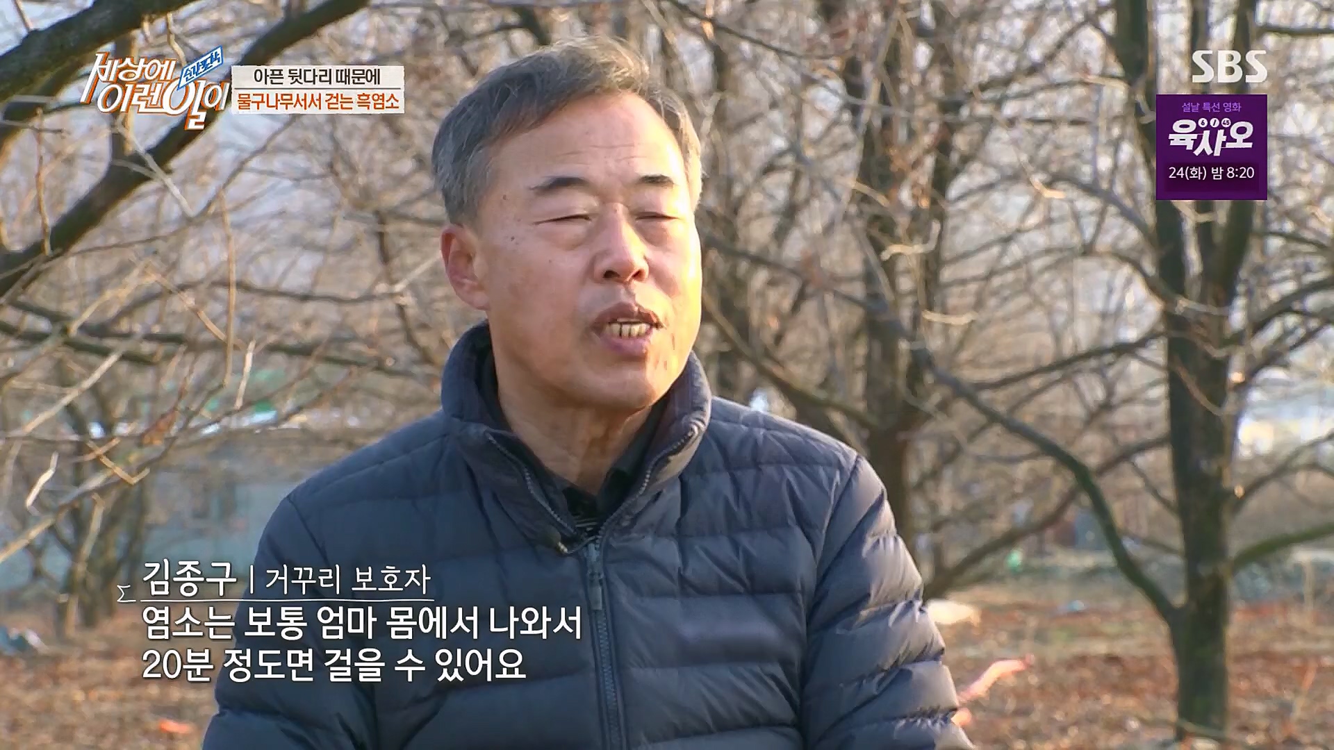 순간포착 세상에 이런일이.E1214.230117p.H264-F1RST.mp4_20230118_192433.146.jpg