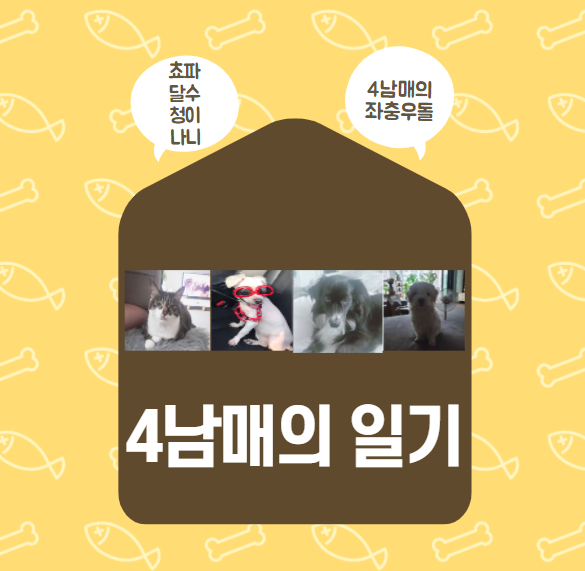  울 아기들 소개~ (쵸파, 달수, 청이, 나니)