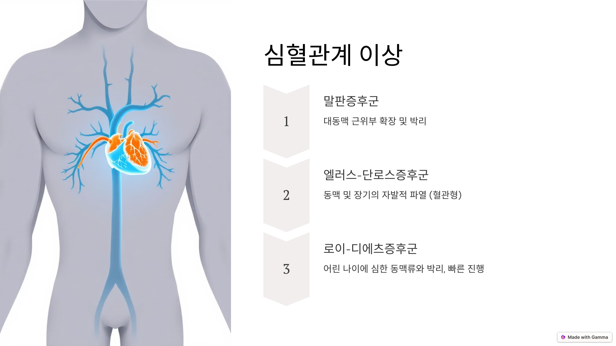 심혈관계 이상