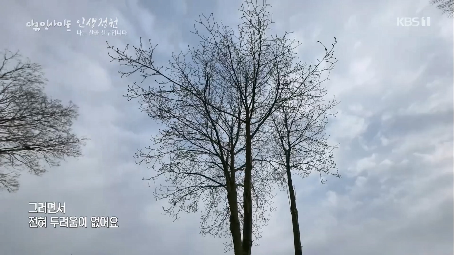 다큐 인사이트.E153.230608p.H264-F1RST.mp4_20230612_203945.504.jpg