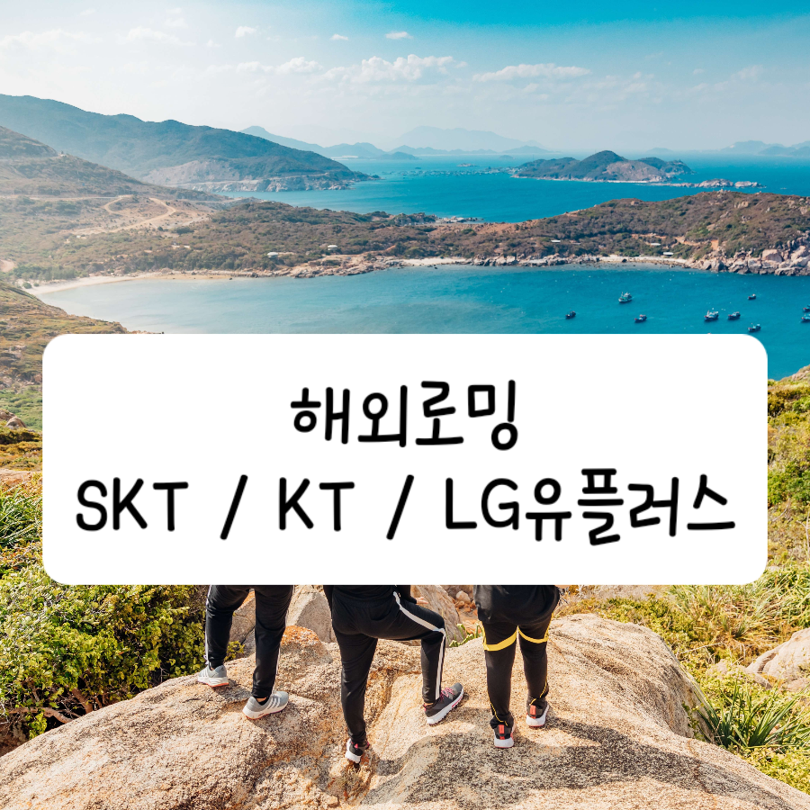 해외로밍