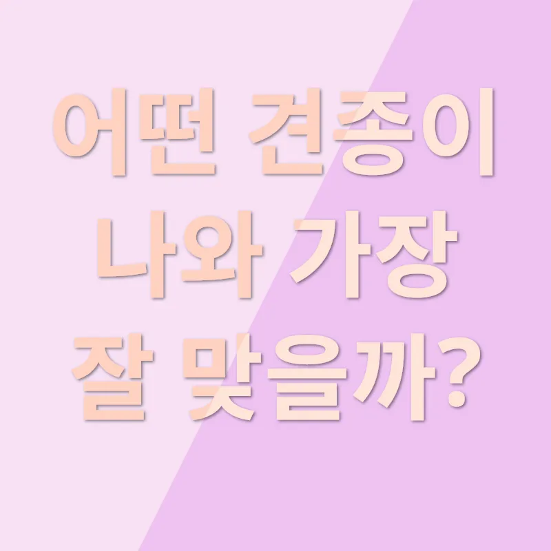 반려견 입양_1