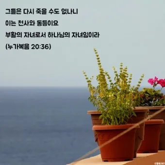 권위 전쟁 누가복음 20장 큐티 매일성경_5