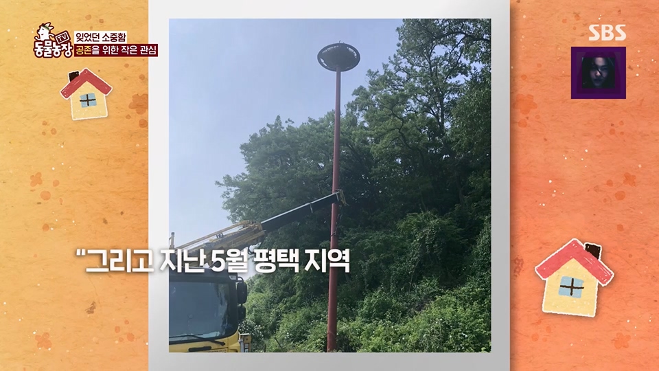 TV 동물농장.E1126.230625p.H264-F1RST.mp4_20230626_204308.285.jpg