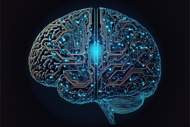인간의-두뇌를-인용하여-형상화한-인공지능-이미지