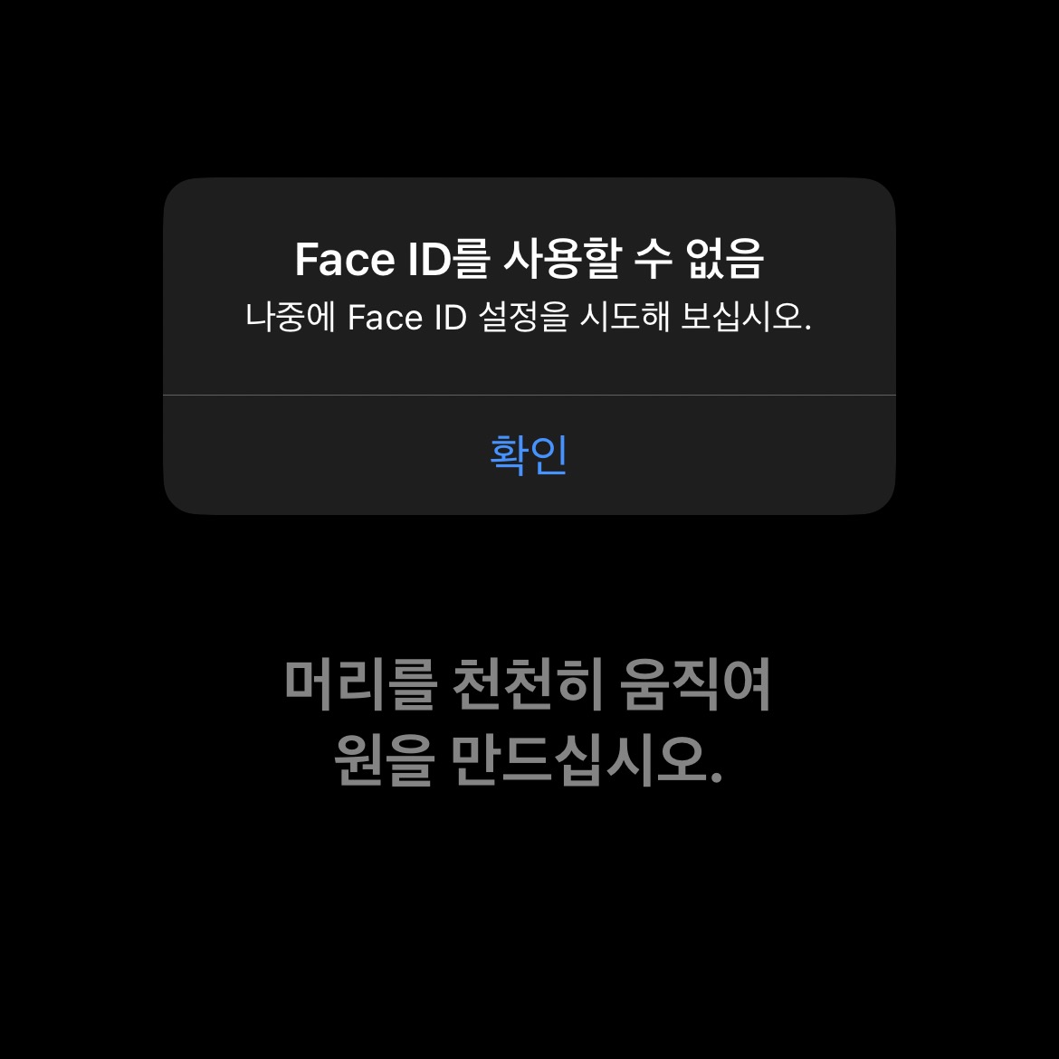 Face ID를 사용할 수 없음