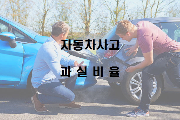  노다지네 잡학다식