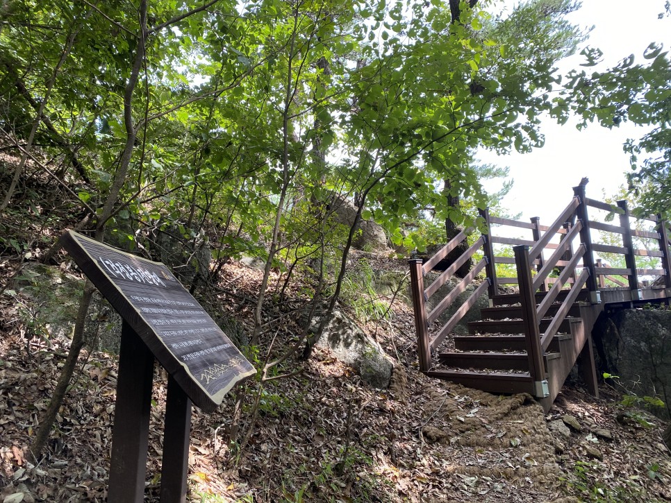 홍길동이 다녀간 9