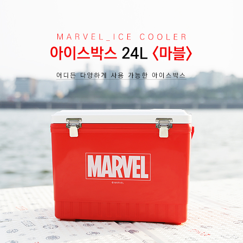 아이스24 이미지