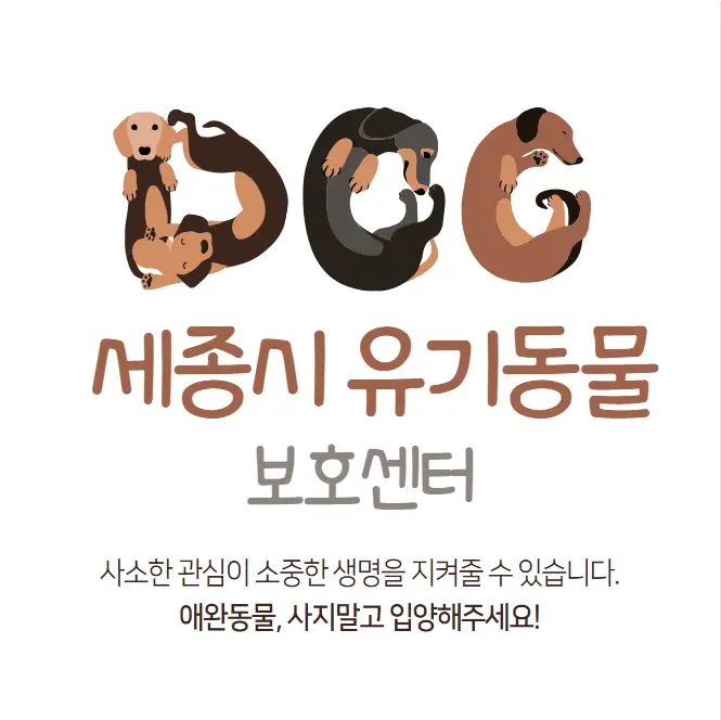  세종시 유기동물보호센터 강아지 고양이 유기 동물 보호소 1곳