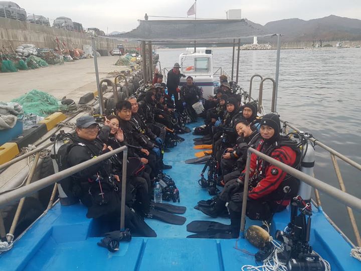 백상어다이빙 리조트 이미지