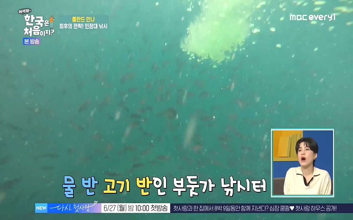 어서와 한국은 처음이지 시즌2.E216.220624p-NEXT.mp4_20220624_203650.497.jpg