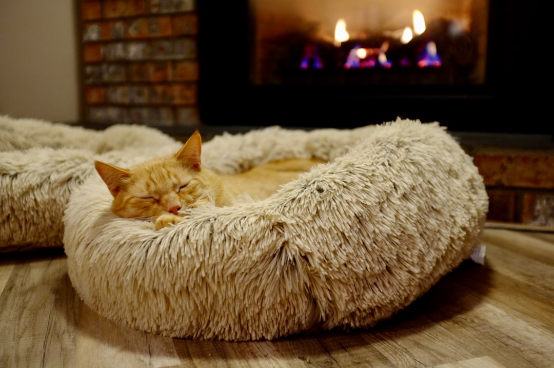 heater mat