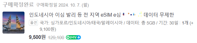 데이터용 E심 구입