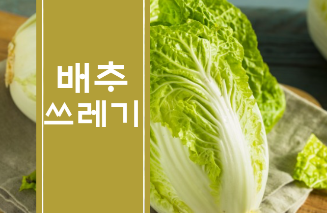  김장쓰레기 배출방법?