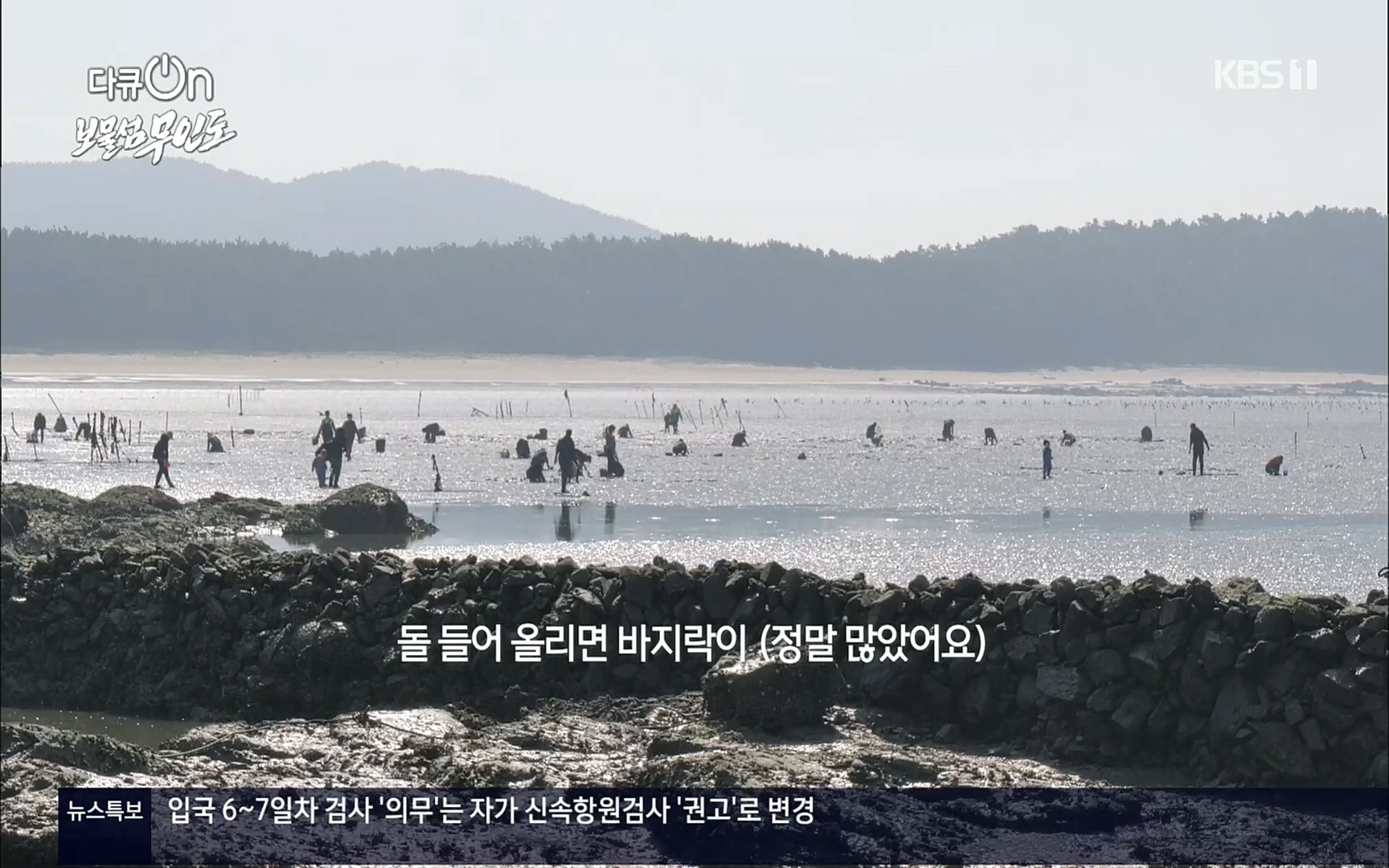 다큐 On.E141p.H264-F1RST.mp4_20220530_202715.946.jpg