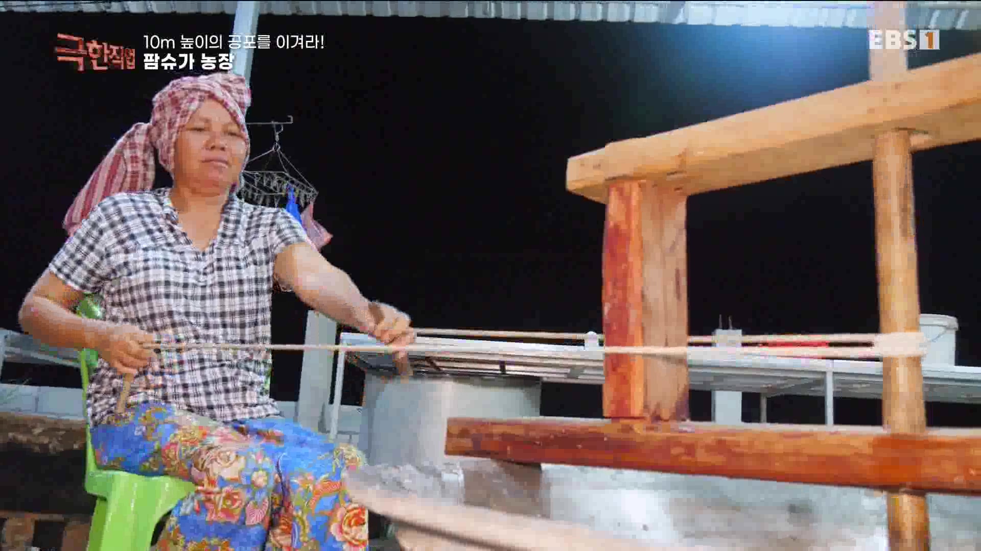 [극한 직업] 캄보디아 팜슈가 농장 230624.mp4_20230701_185224.009.jpg