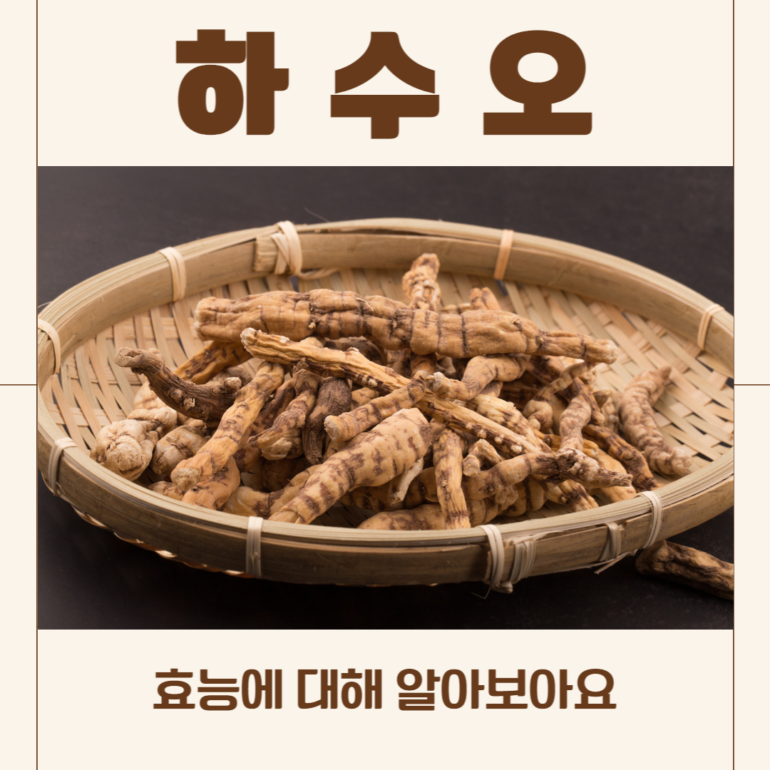 하수오 효능 복용법 부작용