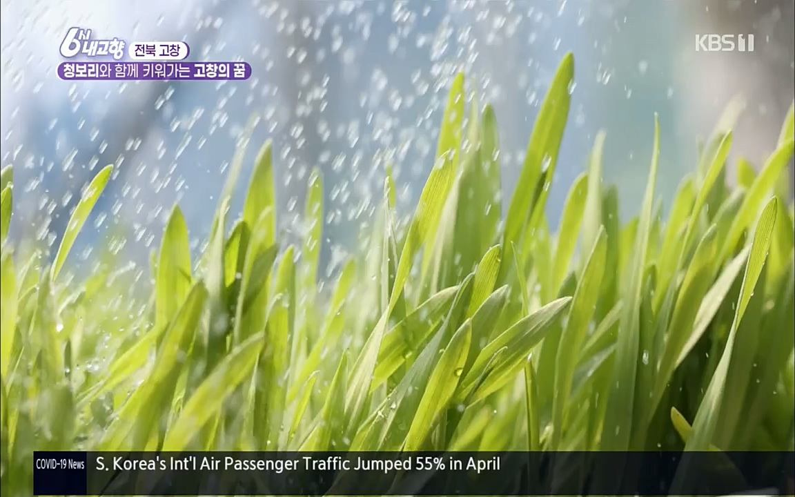 6시 내고향.E7530.220512p.H264-F1RST.mp4_20220516_191204.542.jpg