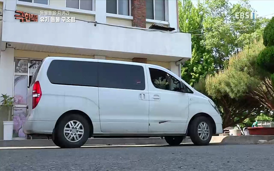 TV - 교육의 중심 EBS동물들을 지켜라, 수의사와 유기 동물 구조팀.mp4_20220913_200154.299.jpg