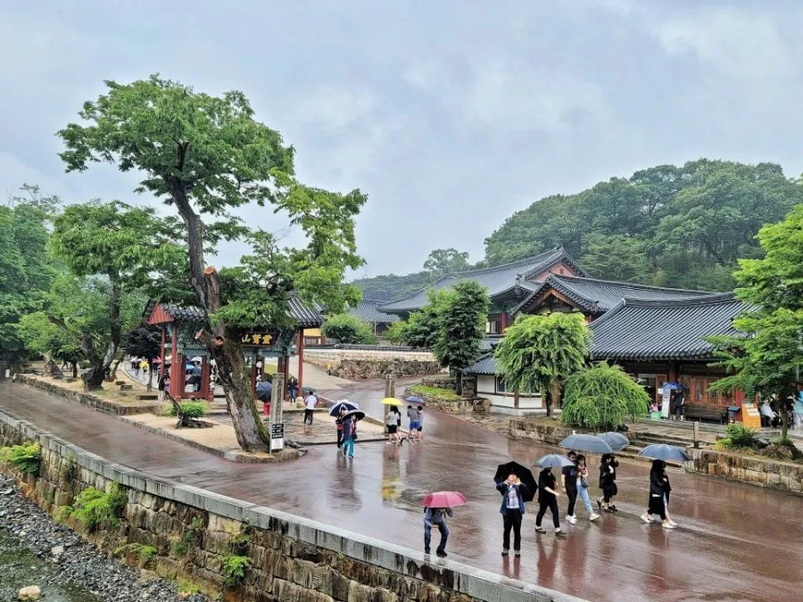 울산 가볼만한곳 베스트10 현지인 추천 필수코스_4