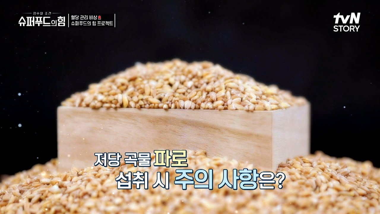 파로 이미지