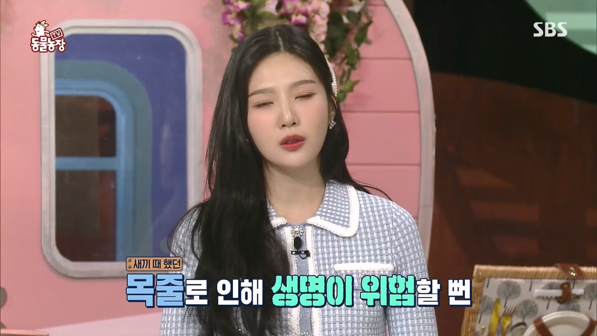 TV 동물농장.E1118.230423p.H264-F1RST.mp4_20230423_181137.806.jpg