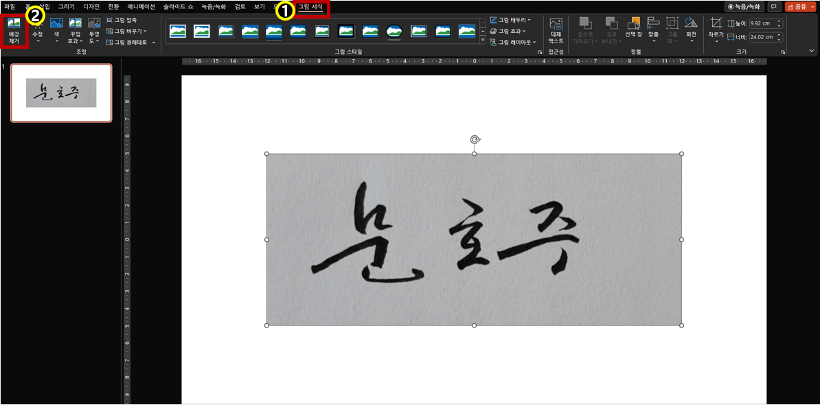 배경 제거 버튼