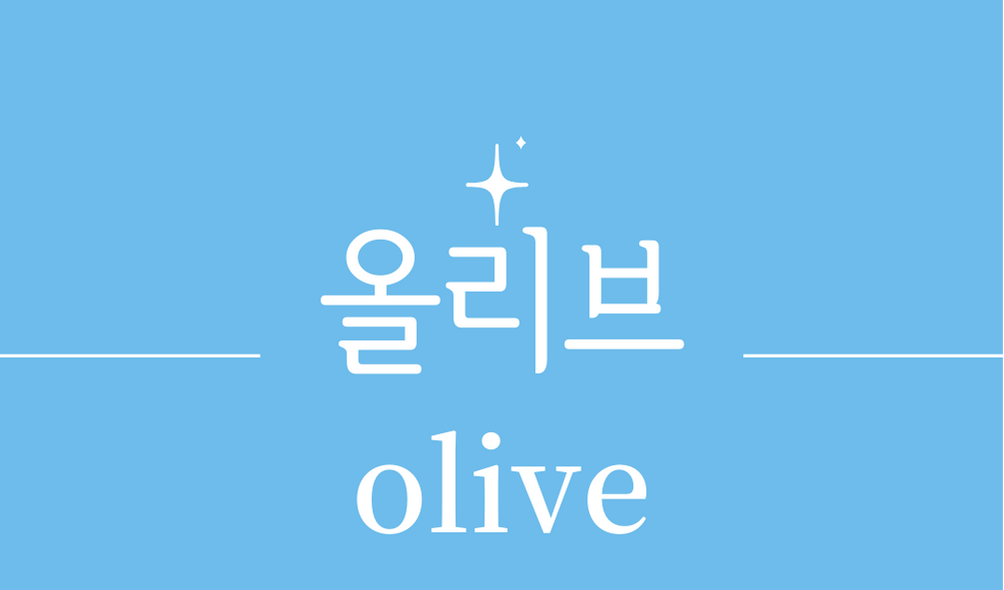 &#39;올리브(olive)&#39;