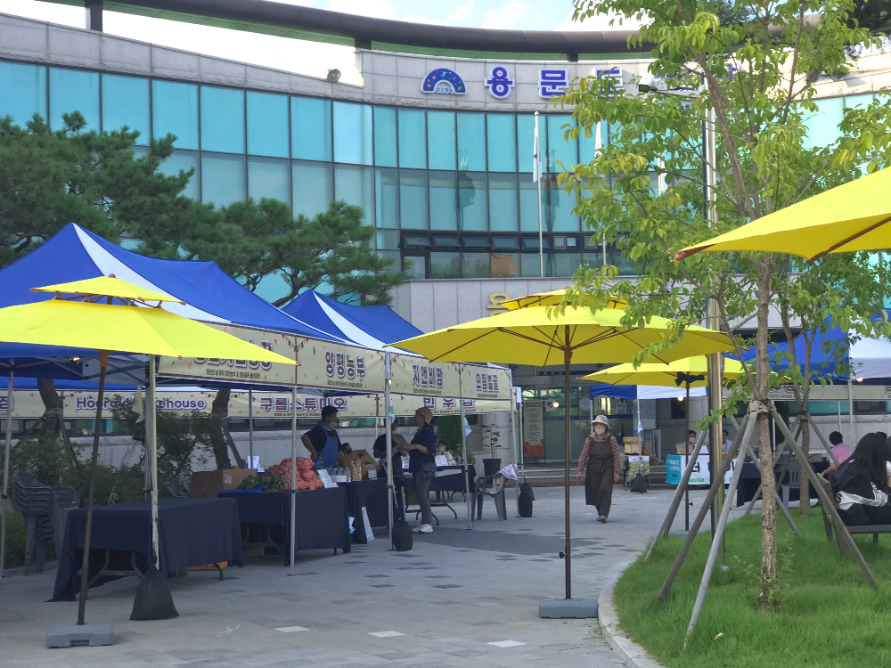  청년들아 일루와 청년의 날 맞이 양평 용문 청년농부 및 청년셀러 플리마켓 MARKET SLOWW 마켓슬로