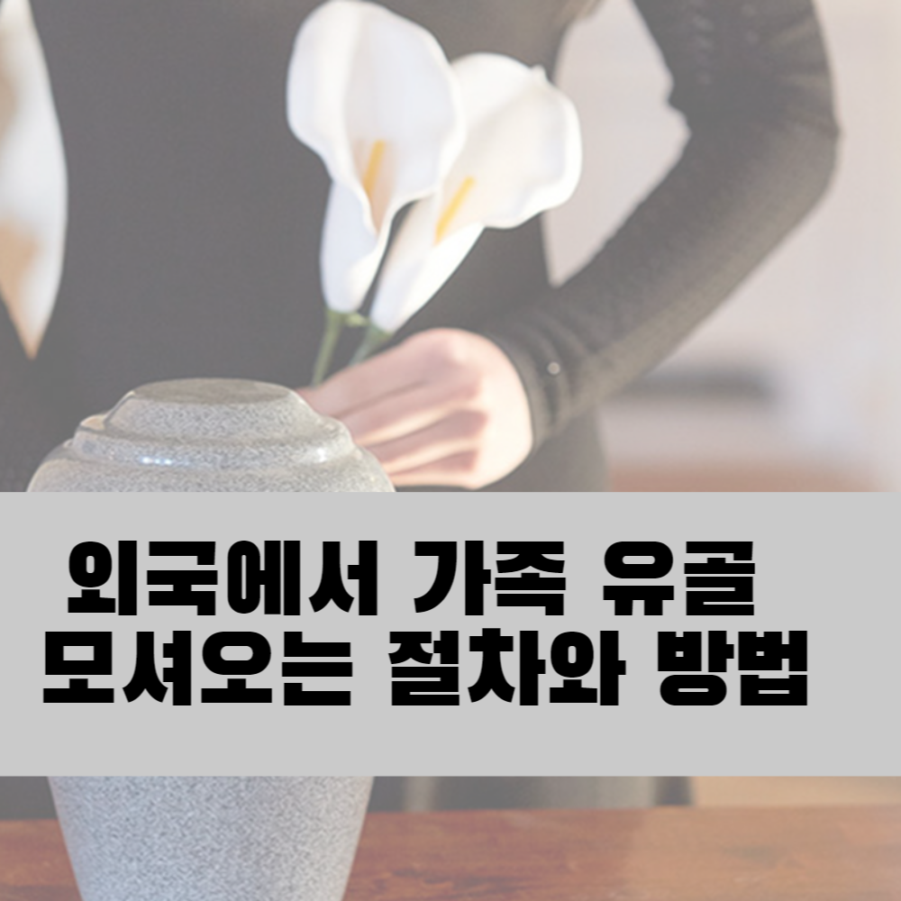  미국 또는 외국에서 가족 유골 모셔오는 절차와 방법