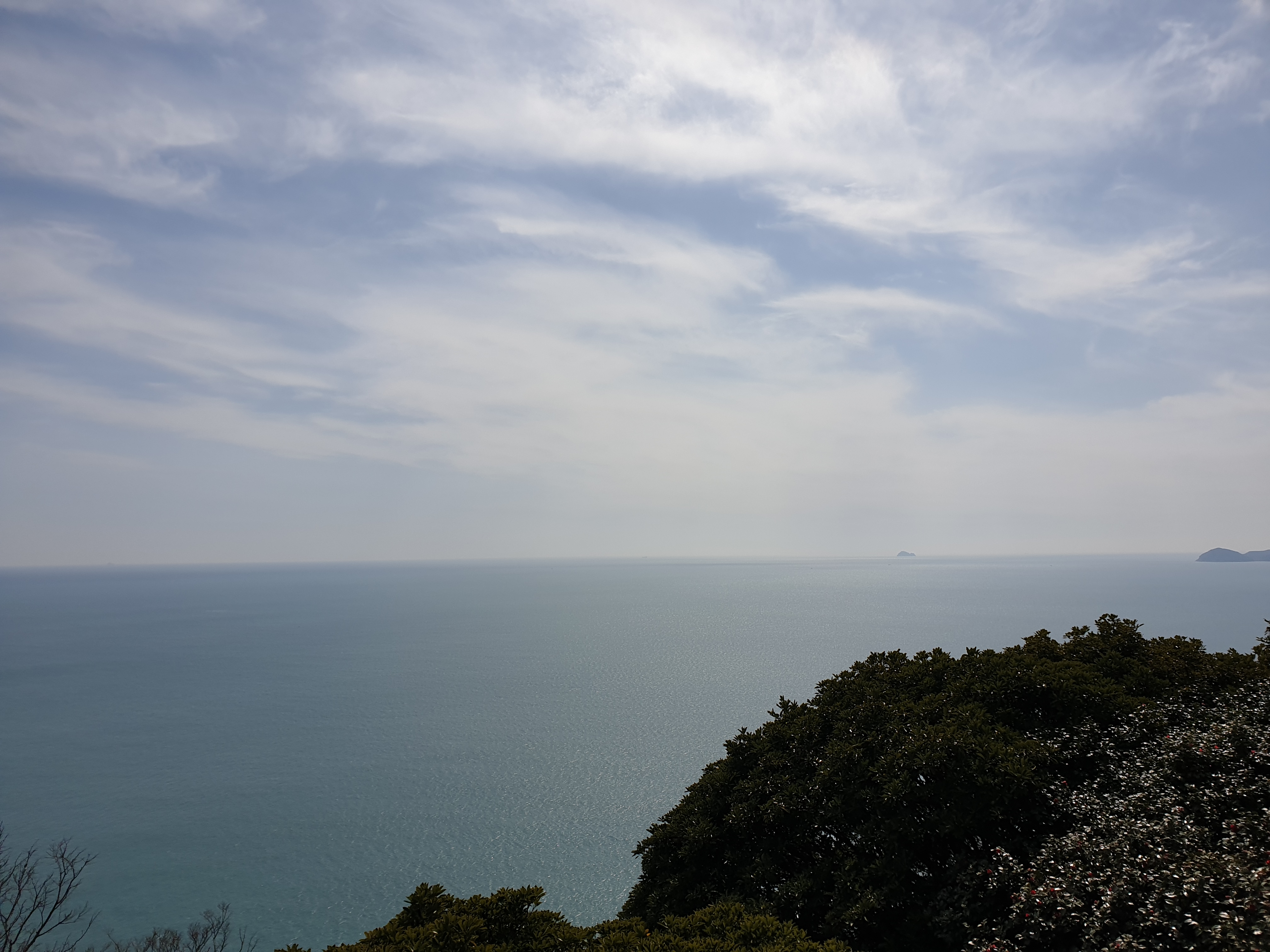  국제결혼중개 표준약관(외국인 결혼관련 법률)