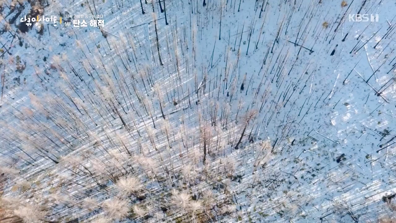 다큐 인사이트.E177.240112p-NEXT.mp4_20240113_155849.255.jpg