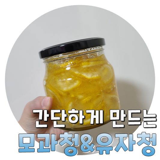  추운 겨울 집에서 간단하게 만드는, 모과청 & 유자청