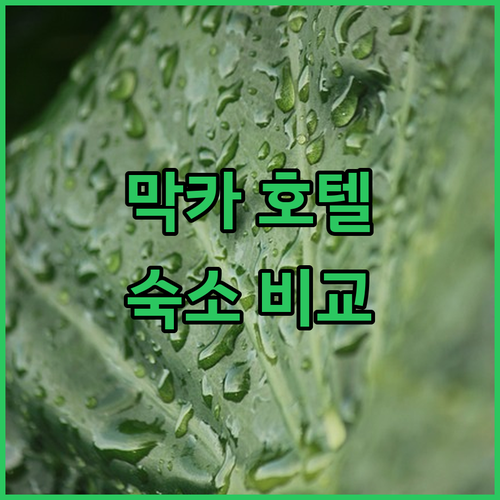막카 인기 호텔 추천 풀먼 잠잠 마카