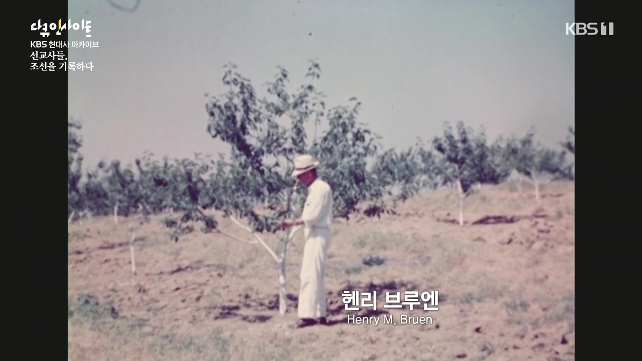 다큐 인사이트.E184.240510p-NEXT.mp4_20240510_202620.894.jpg